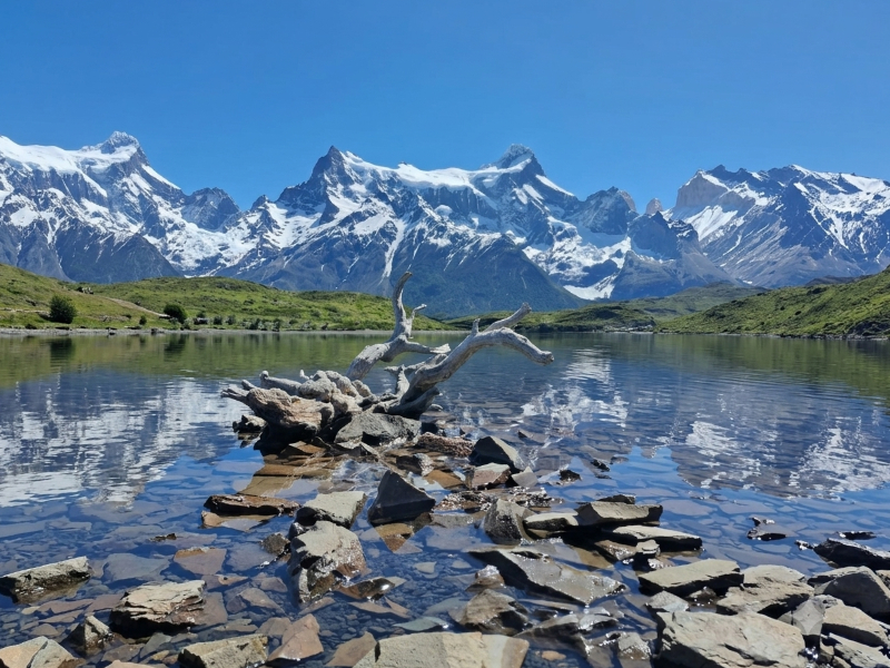 יום מלא בשמורה (Torres del Paine)